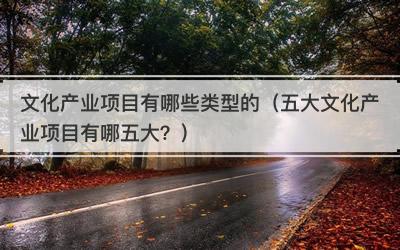 文化产业项目有哪些类型的（五大文化产业项目有哪五大？）