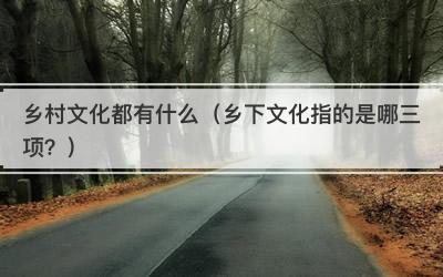 乡村文化都有什么（乡下文化指的是哪三项？）