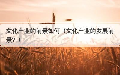 文化产业的前景如何（文化产业的发展前景？）