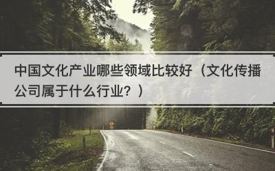 中国文化产业哪些领域比较好（文化传播公司属于什么行业？）